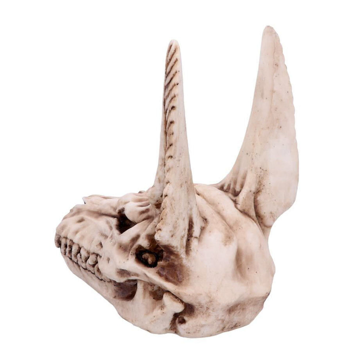 Dekoration Anubis Schädel Skull